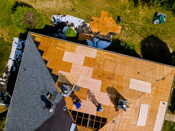 Best Local Roofing Companies  in Nassau Bay, TX